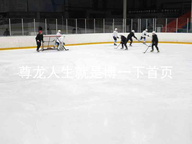 尊龙人生就是博一下首页
